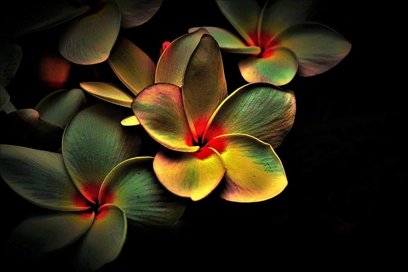 Abstract Reality
